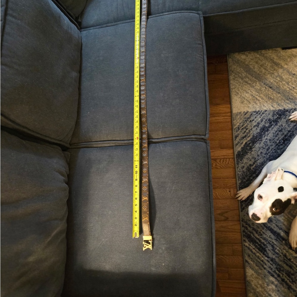 Luxury Brown Designer Belt - Picture 2 of 8